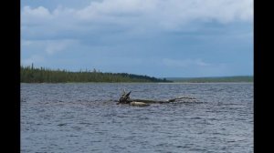Гиперборея сегодня. Река Воронья и Серебрянское водохранилище.