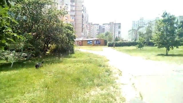 Пример видеосъемки Oukitel K4000 Pro - тест видеокамеры смотреть онлайн