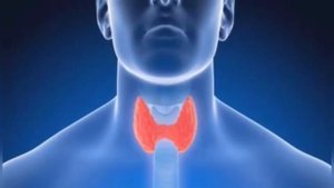 Профессия: Врач