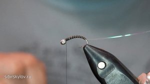 Комарик с телом Навозной Мухи - Говнянки. Уникальный приём из отходов! @sibirskylov