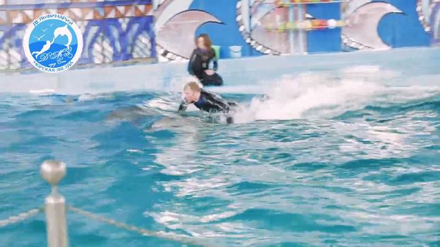 Дельфинарий Морская звезда смотреть онлайн