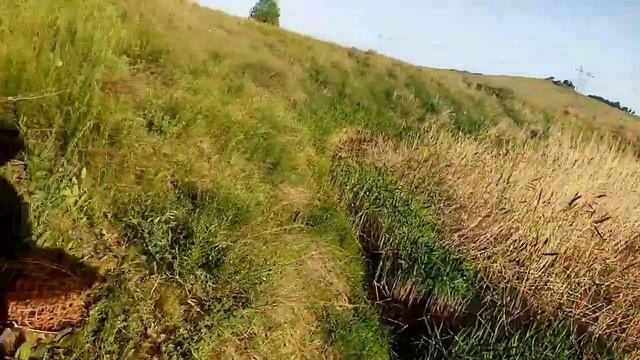 ШОК! Вот это караси лапти в этих камышах! Рыбалка на ПОПЛАВОК.