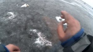 Ловля корюшки на блесну