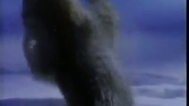 Lynx vs Bobcat смотреть онлайн