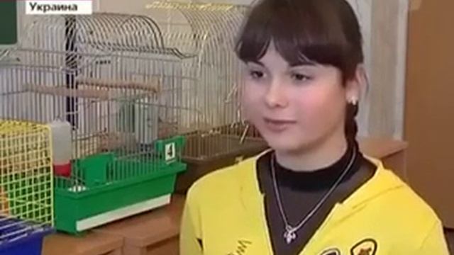 Вред чипсов и картошек фри смотреть онлайн