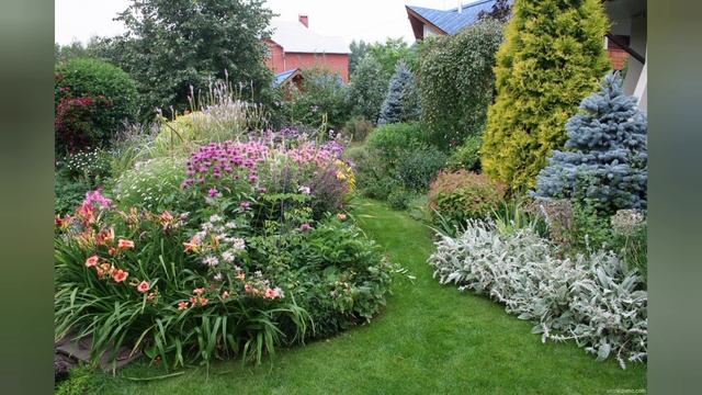 Клумбы с многолетниками.Хвойные. смотреть онлайн