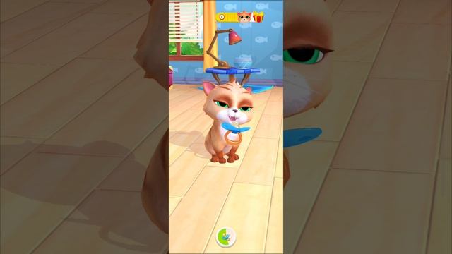 Котики новая игра