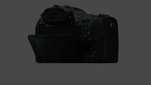 Sony DSC-RX10M4 Premium Bridge Kamera