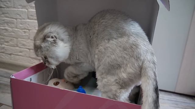 ЗЛОЙ РЕБЁНОК В ЖЕЛТОМ В РЕАЛЬНОЙ ЖИЗНИ | МЫ УСЫНОВИЛИ ОПАСНОГО МАЛЫША смотреть онлайн