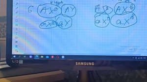 Задача на летальные гены| Генетика