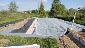 Выбор места для посадки клубники.