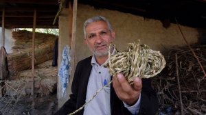 Hasir (Həsir) / Tymon (timon). Veawing mats from reed in the Talysh region (south of Azerbaijan)