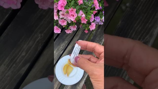 Предсказание от печеньки на сегодня.