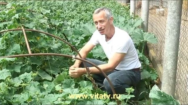 Огуречный лосьон из самагона. Домашняя косметика