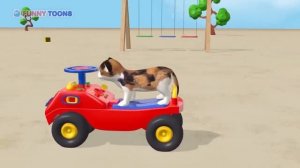Adventures of cat and dog on the playground