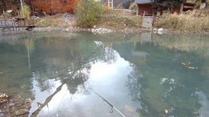 Архыз. Форель на необычном платнике в горах