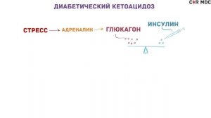 Сахарный диабет - 1 и 2 тип, причины, симптомы, кетоацидоз, гиперосмолярная гипергликемия