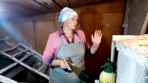 Почему куры перестали нести яйца. Как я решаю эту проблему.