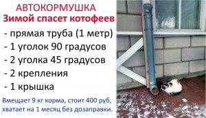 Заполняю кормом автокормушки для дачных котиков-дикушей