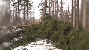 Практически 24 с половиной миллиона рублей выплатят ле