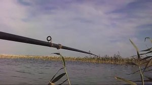 Рыбалка на Рузаевском озере|Средство от комаров - работает| Рыбалка на удочку|