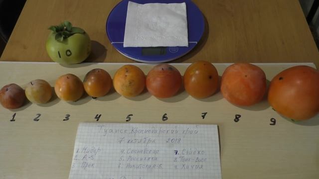 Хурма обзор плодов октябрь 2018 смотреть онлайн