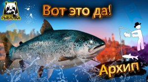 RF4 ПРОСТО КАТАЛСЯ ПО АРХИПУ А ТУТ ТАКОЕ #рр4