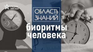 Как работают биологические часы?  Лекция Лекция биолога-физиолога Владимира Ковальзона.