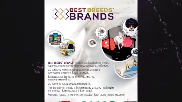 Корм Mac`s и Tundra смотреть онлайн