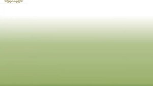 Презентация кафедры «Таможенное дело и право» ОмГУПС.