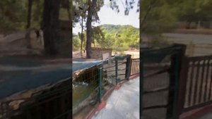 Обзор на отель Nirvana Dolce Vita 5*+ Турция, Кемер