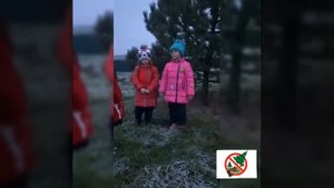 Сохраним лес от вырубки !