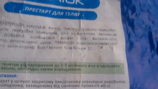 Кормление зерном с 3 дня жизни теленка.3 МЕСЯЦ. смотреть онлайн