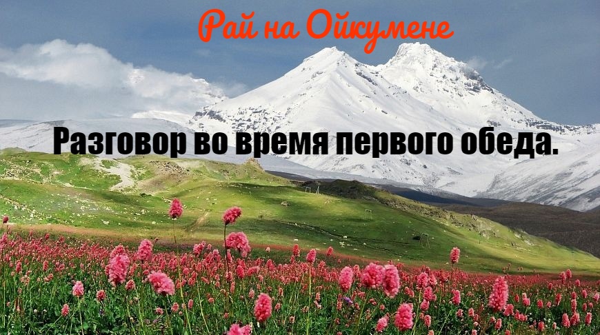 Разговор во время первого обеда.