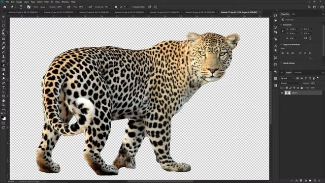 How to works Magic Wand Tool in photoshop | Concept of Magic Wand Tool. 2020 смотреть онлайн