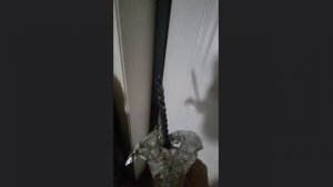 Чистка дома черными свечами и солью