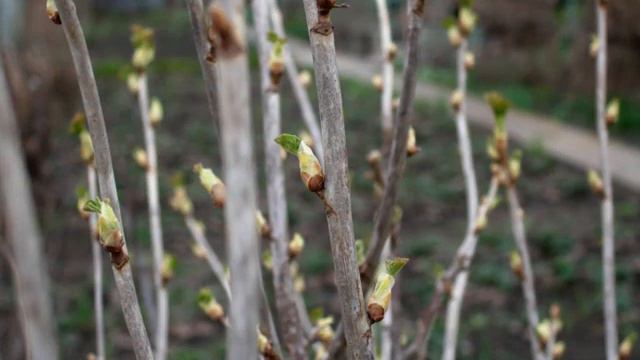 Апрель второе начало...