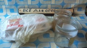 Как вырастить Виноград из Косточек у себя дома.