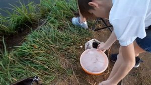 Английский пруд