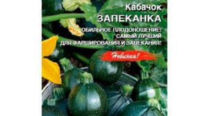 А у вас растут круглые кабачки??