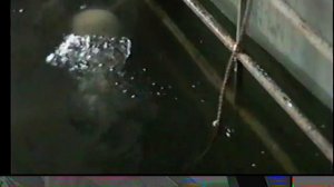 Легководолазная подготовка