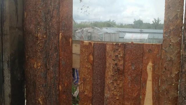 Дешёвый сарай из горбыля для поросят.