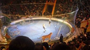 краснодарский цирк 3