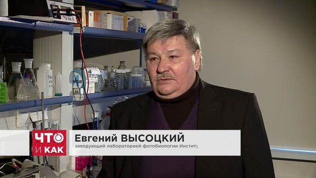 Что и как: живые лампочки смотреть онлайн