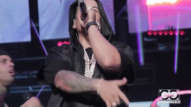 Shaky Shaky En Vivo Daddy Yankee Nicky Jam Puerto Rico смотреть онлайн