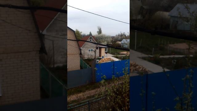 Сады цветут