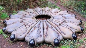 Смертельно Опасные Находки! Проклятые Сокровища