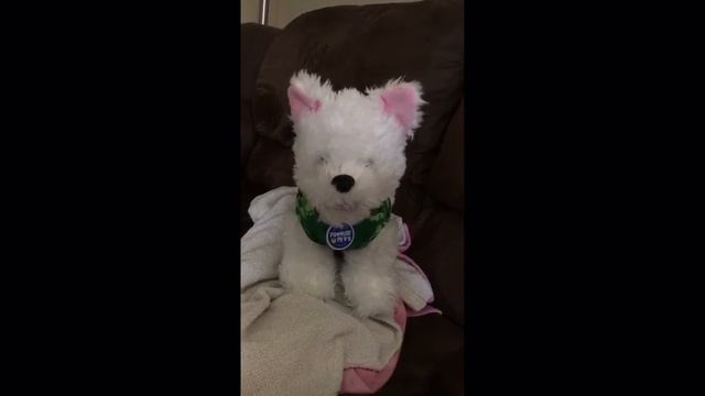 Instastory Tutorial