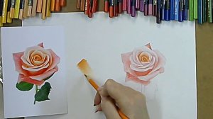 Рисуем розу цветными карандашами.