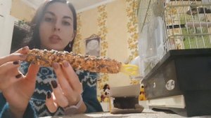 Вкусняшка для кореллы.